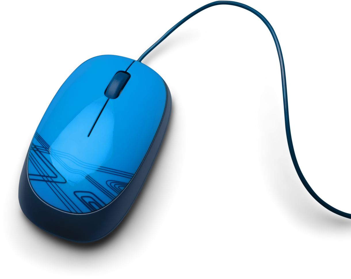 close-up image of mouse